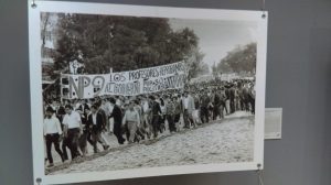 La libertad fracasada (1)