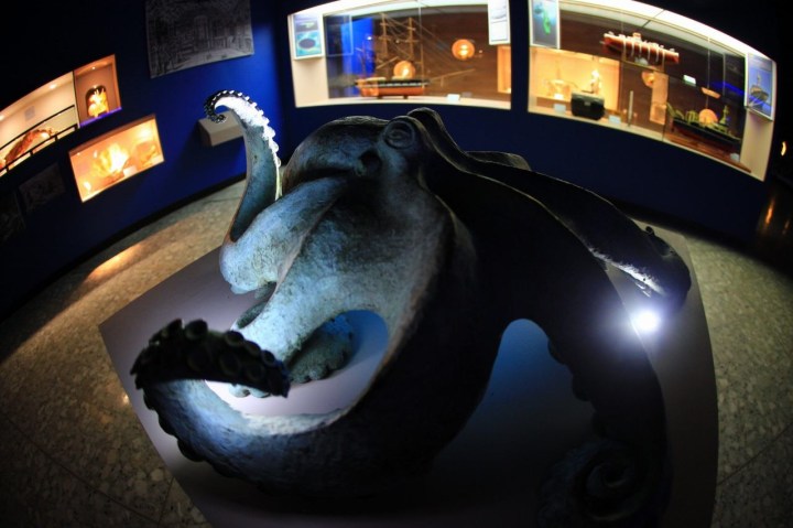 Maravillas Marinas 18